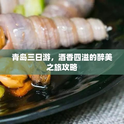 青岛三日游,酒香四溢的醉美之旅攻略
