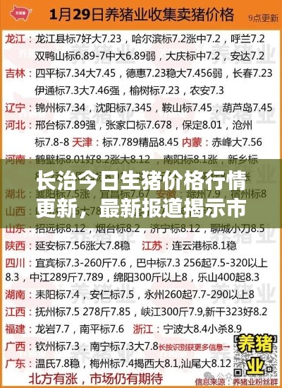 长治今日生猪价格行情更新,最新报道揭示市场走势