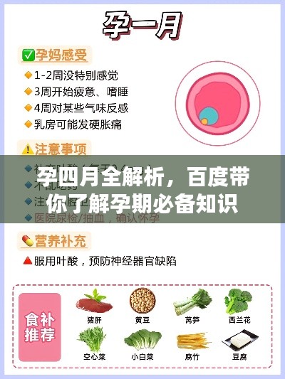 孕四月全解析,百度带你了解孕期必备知识