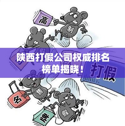 陕西打假公司权威排名榜单揭晓!