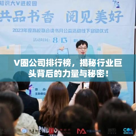 V圈公司排行榜,揭秘行业巨头背后的力量与秘密!