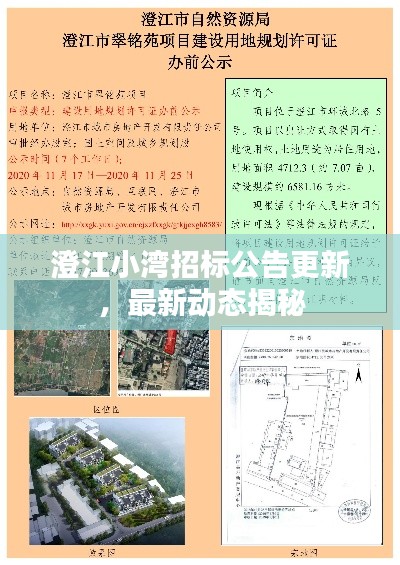 澄江小湾招标公告更新，最新动态揭秘