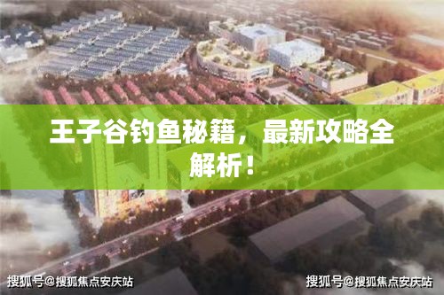 王子谷钓鱼秘籍,最新攻略全解析!
