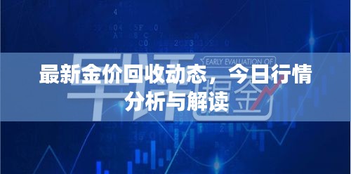 最新金价回收动态,今日行情分析与解读