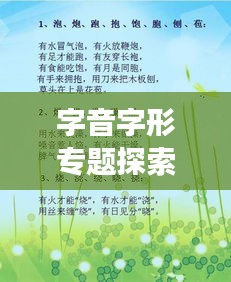 字音字形专题探索,汉字魅力的深度剖析