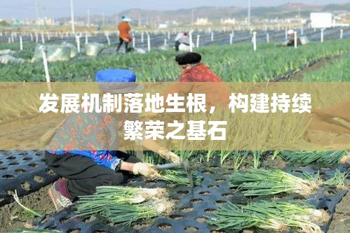 发展机制落地生根,构建持续繁荣之基石